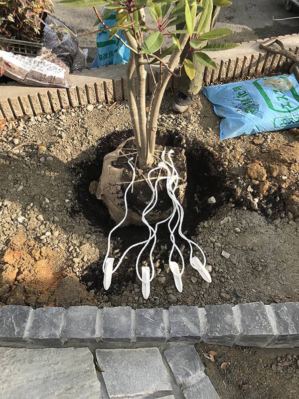 dag openbare ruimten